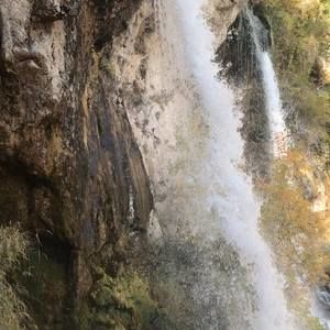 Meet your Posher, Margaret